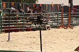 IMG_1331 