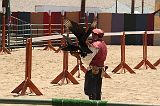 IMG_1334 