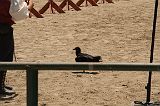 IMG_1344 