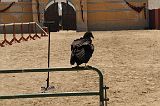 IMG_1389 