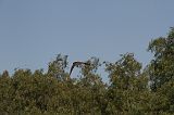 IMG_2777 