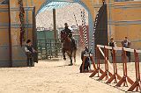 IMG_1552 