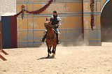 IMG_1556 