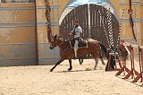 IMG_1568 