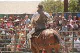 IMG_1595 