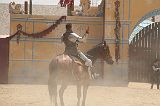 IMG_1597 