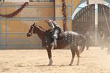 IMG_1636 