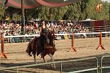IMG_2890 