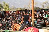 IMG_2900 