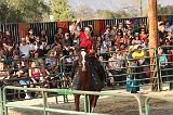 IMG_2904 