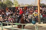 IMG_2905 