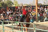 IMG_2906 