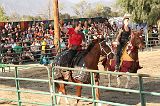 IMG_2908 
