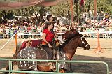 IMG_2912 