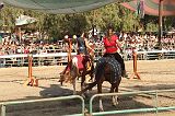IMG_2917 