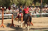 IMG_2919 