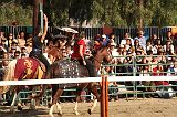 IMG_2924 
