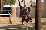 IMG_2954 