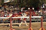 IMG_2972 