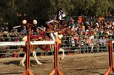 IMG_2973 