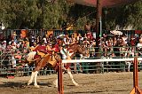 IMG_2975 