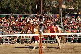 IMG_2991 