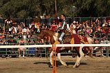 IMG_2993 