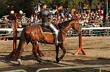 IMG_3031 