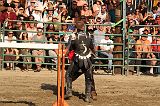 IMG_3398 