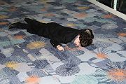 IMG_0079 