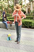 IMG_0178 
