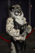 IMG_0306 