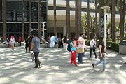 IMG_0309 