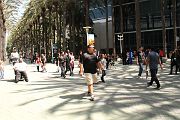 IMG_0311 