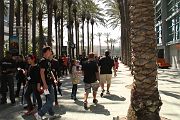 IMG_0314 