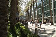 IMG_0356 