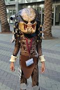 IMG_0649 