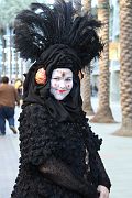IMG_0653 