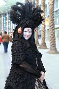 IMG_0654 