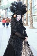 IMG_0655 