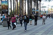 IMG_0680 