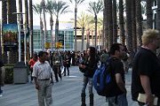 IMG_0681 