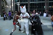 IMG_0697 