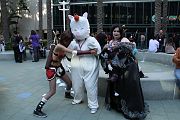 IMG_0698 