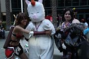 IMG_0700 