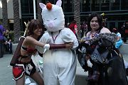 IMG_0701 