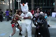 IMG_0702 