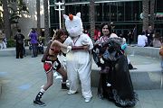 IMG_0703 