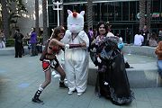 IMG_0704 