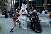 IMG_0705 